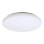 Rabalux 3339 - Светодиодный потолочный светильник ROB LED/32W/230V
