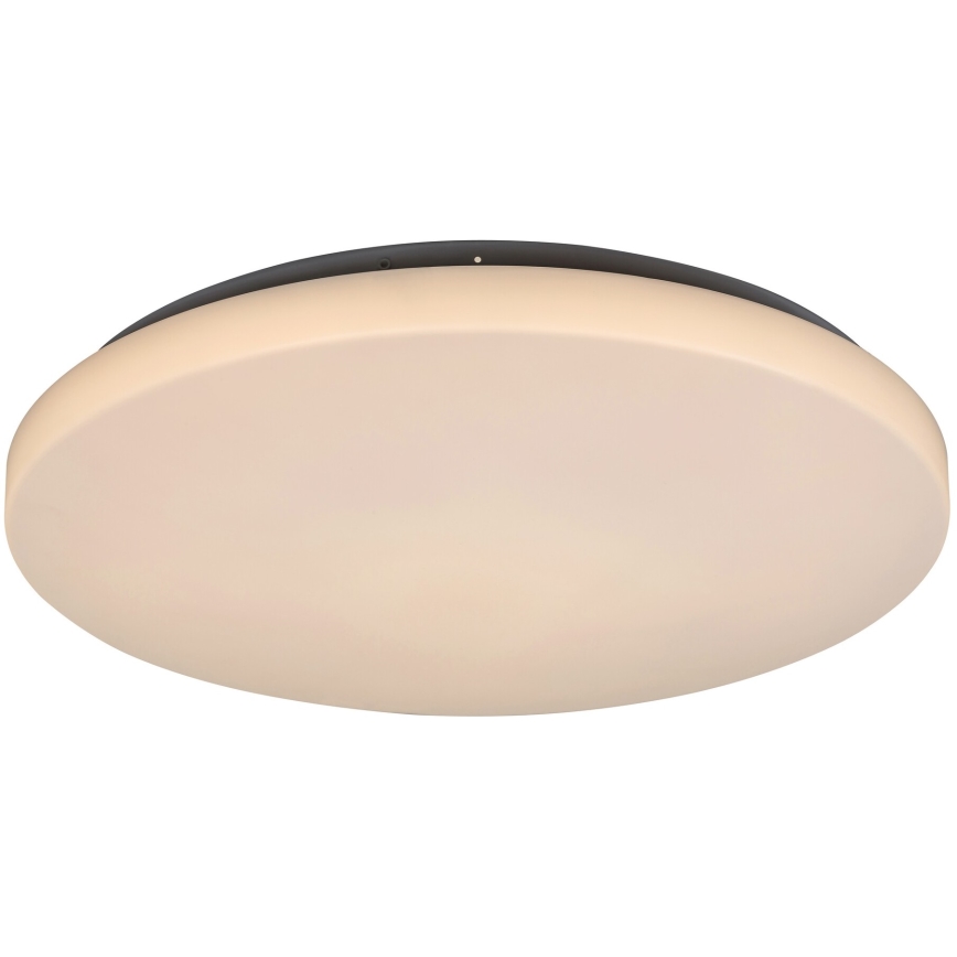 Rabalux 3339 - Светодиодный потолочный светильник ROB LED/32W/230V