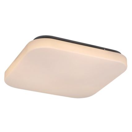 Rabalux - Стельовий LED світильник 1xLED/20W/230V 29x29 см