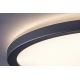 Rabalux - Світлодіодний стельовий світильник для ванної кімнати LED/15W/230V IP44