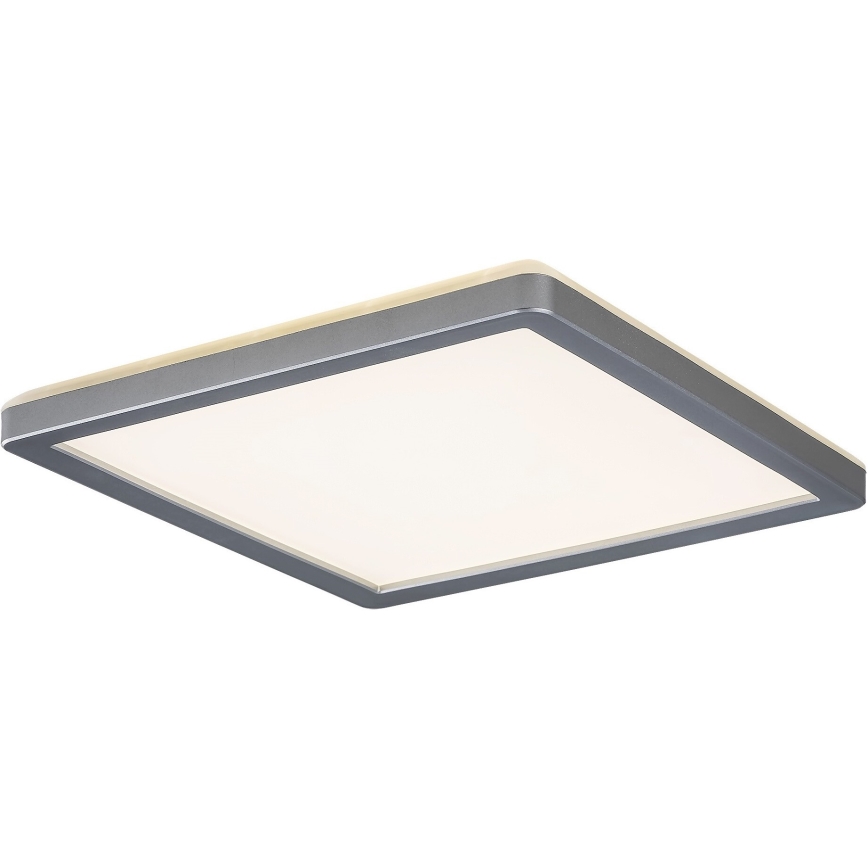 Rabalux - Світлодіодний стельовий світильник для ванної кімнати LED/15W/230V IP44