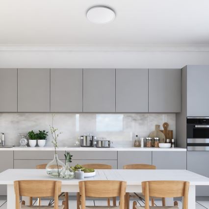 Rabalux - LED потолочный светильник, 18 Вт, 230 В, диаметр 29,3 см