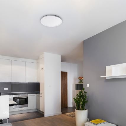 Rabalux - Стельовий LED світильник з регулюванням яскравості LED/22W/230V