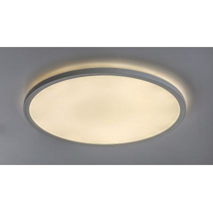 Rabalux - Стельовий LED світильник з регулюванням яскравості LED/22W/230V