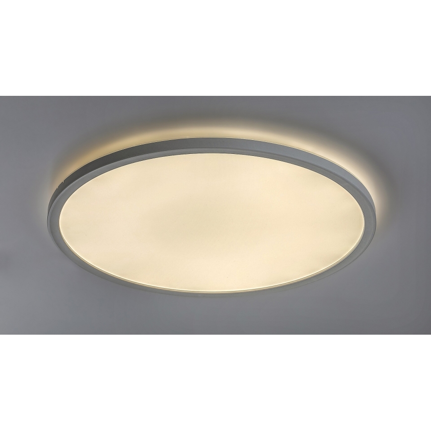 Rabalux - Стельовий LED світильник з регулюванням яскравості LED/22W/230V