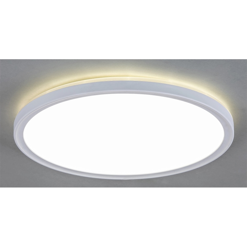 Rabalux - Стельовий LED світильник з регулюванням яскравості LED/22W/230V