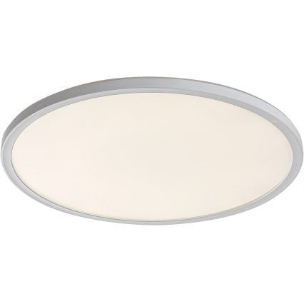 Rabalux - Стельовий LED світильник з регулюванням яскравості LED/22W/230V