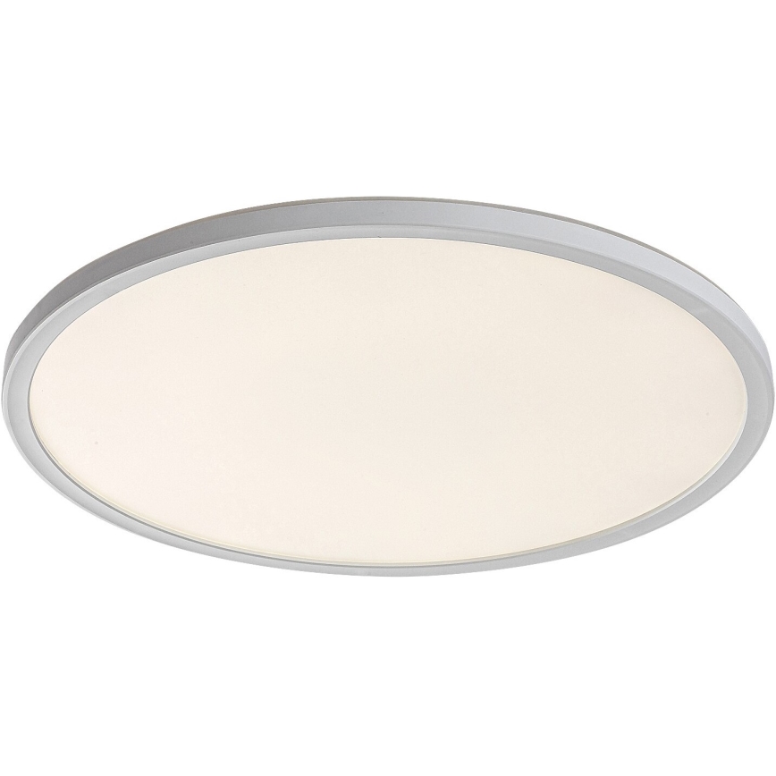 Rabalux - Стельовий LED світильник з регулюванням яскравості LED/22W/230V