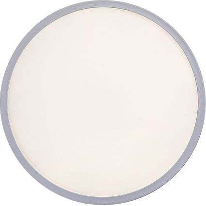 Rabalux - Стельовий LED світильник з регулюванням яскравості LED/22W/230V