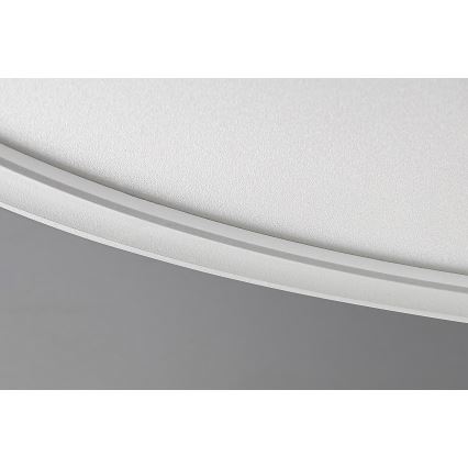 Rabalux - Стельовий LED світильник з регулюванням яскравості LED/22W/230V