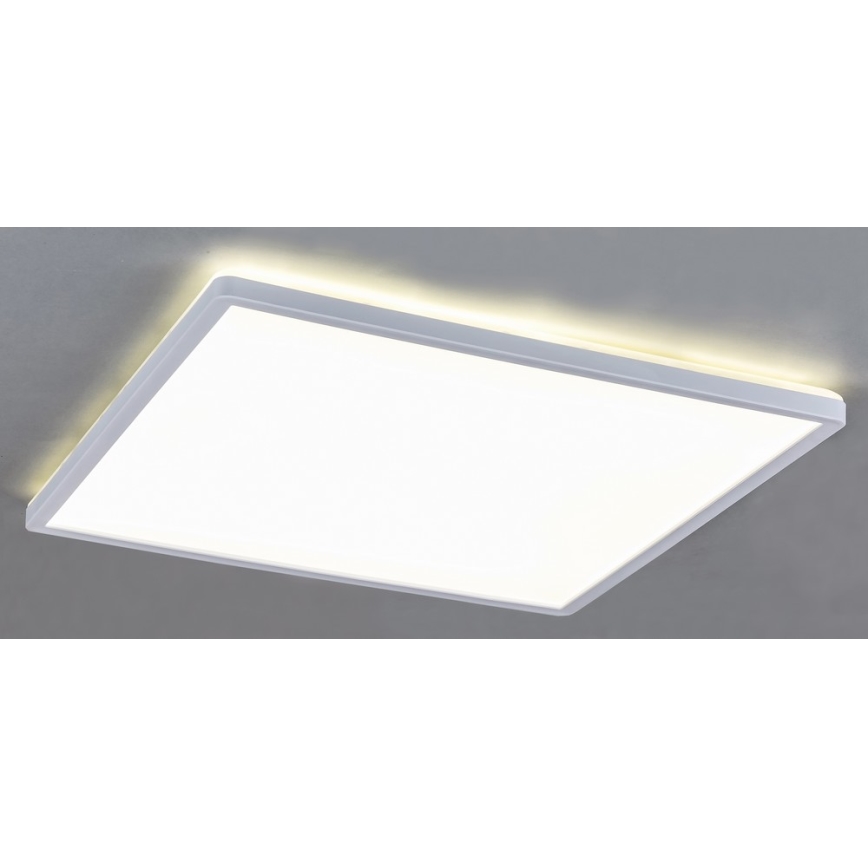 Rabalux - Світлодіодний стельовий світильник LED/18W/230V