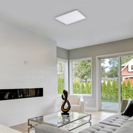 Rabalux - LED стельовий світильник з регульованою яскравістю LED/22W/230V 42x42 см