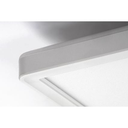 Rabalux - LED стельовий світильник з регульованою яскравістю LED/22W/230V 42x42 см