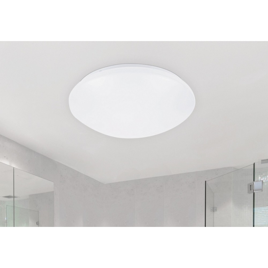 Rabalux - Світлодіодний стельовий світильник 1xLED/24W/230V
