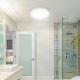 Rabalux 3437 - Светодиодный потолочный светильник для ванной комнаты LUCAS LED/12W/230V