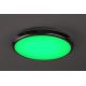 Rabalux - LED RGB Стельовий світильник для ванної з регулюванням яскравості LED/18W/230V діаметр 30 см 3000-6500K IP44 + пульт дистанційного керування