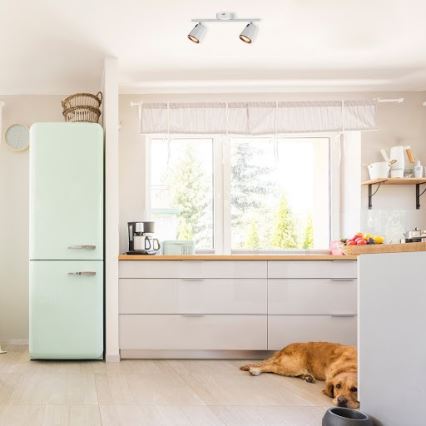 Rabalux 5046 - Точковий LED світильник SOLANGE 2xLED/6W/230V