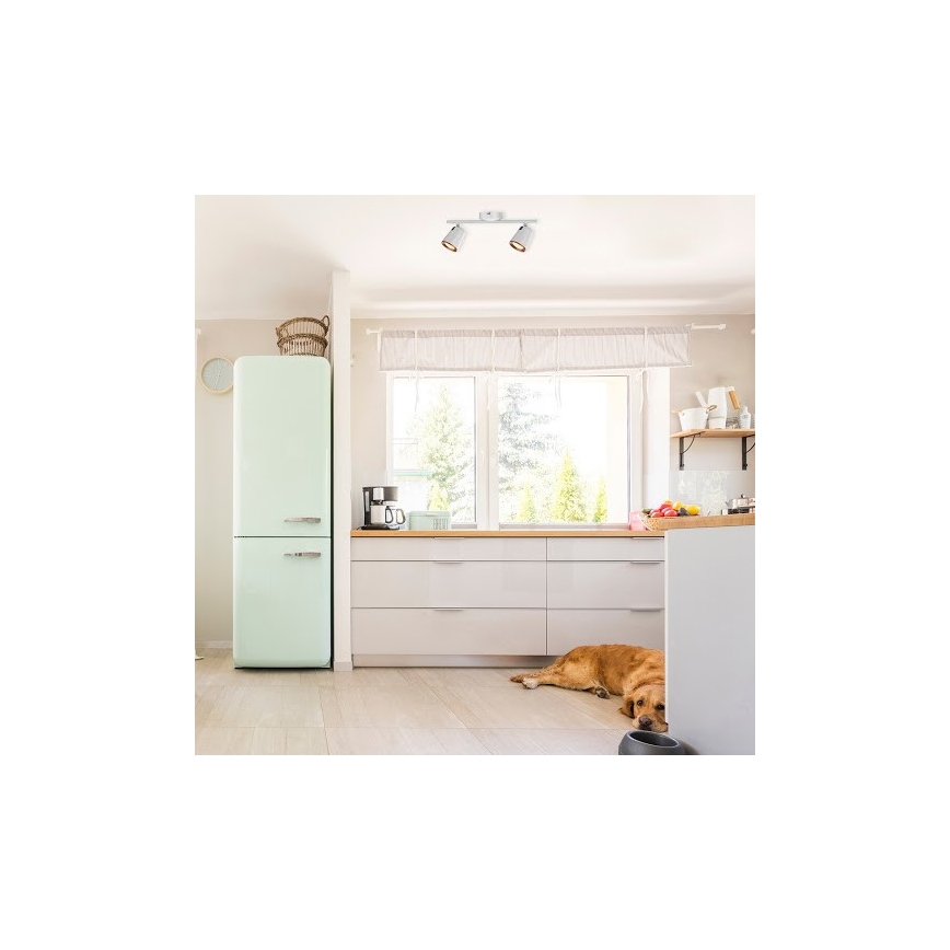 Rabalux 5046 - Точковий LED світильник SOLANGE 2xLED/6W/230V