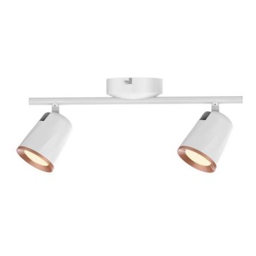 Rabalux 5046 - Точковий LED світильник SOLANGE 2xLED/6W/230V