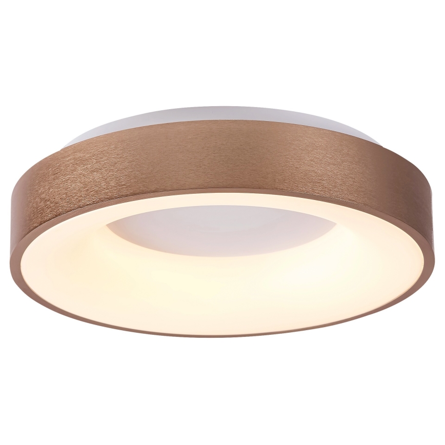 Rabalux - Светодиодный потолочный светильник CARMELA LED/30W/230V диаметр 38 см