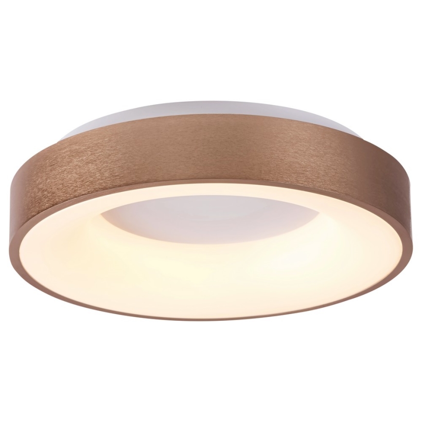 Rabalux - Світлодіодний стельовий світильник CARMELA LED/50W/230V