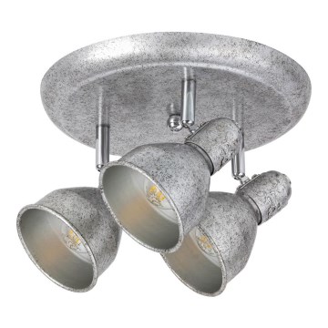 Rabalux 5388 - Точковий світильник THELMA 3xE14/40W/230V