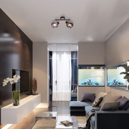 Rabalux 5398 - Точковий світильник SALAZAR 2xE14/40W/230V