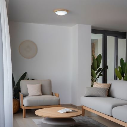 Rabalux - Потолочный светильник 1xE27/60W/230V диаметр 30 см