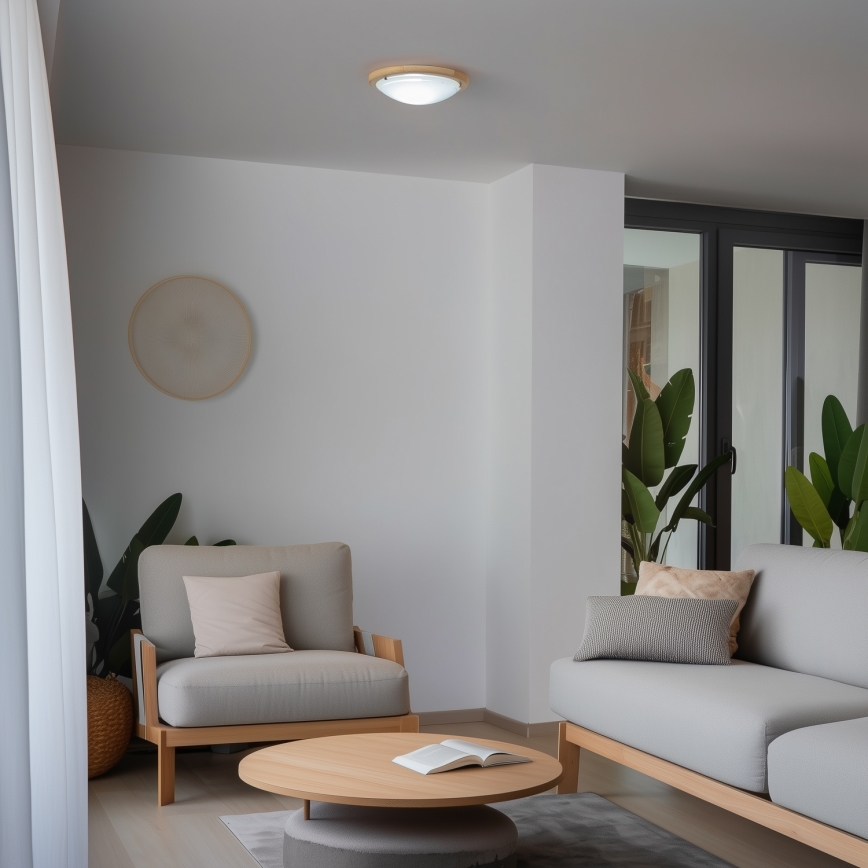 Rabalux - Потолочный светильник 1xE27/60W/230V диаметр 30 см