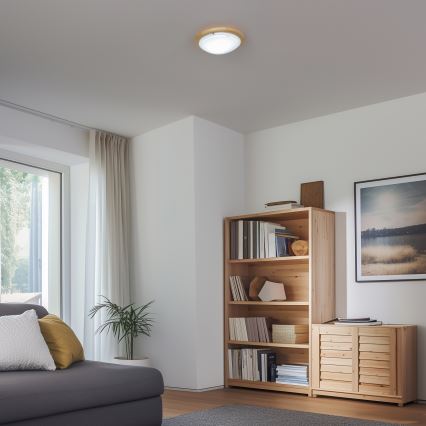 Rabalux - Потолочный светильник 1xE27/60W/230V диаметр 30 см