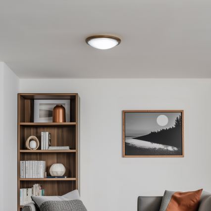 Rabalux - Потолочный светильник 1xE27/60W/230V диаметр 30 см