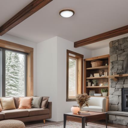 Rabalux - Потолочный светильник 1xE27/60W/230V диаметр 30 см