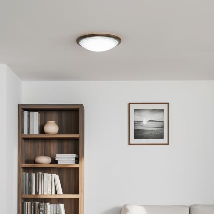 Rabalux - Потолочный светильник 2xE27/60W/230V диаметр 38 см