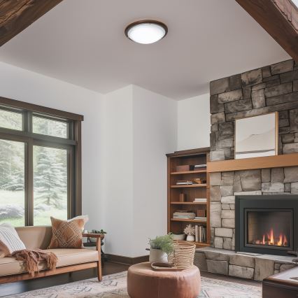 Rabalux - Потолочный светильник 2xE27/60W/230V диаметр 38 см