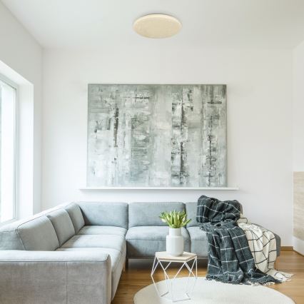 Rabalux - Стельовий LED світильник LED/32W/230V діаметр 38 см