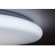 Rabalux - Стельовий LED світильник з регулюванням яскравості LED/60W/230V + ДК