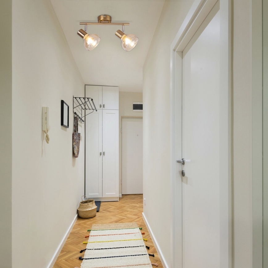 Rabalux 5547 - Точковий світильник HOLLY 2xE14/40W/230V золотий