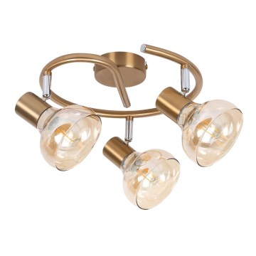 Rabalux 5549 - Точечный светильник HOLLY 3xE14/40W/230V золотистый