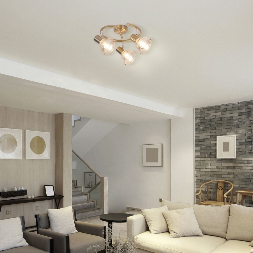 Rabalux 5549 - Точковий світильник HOLLY 3xE14/40W/230V золотий