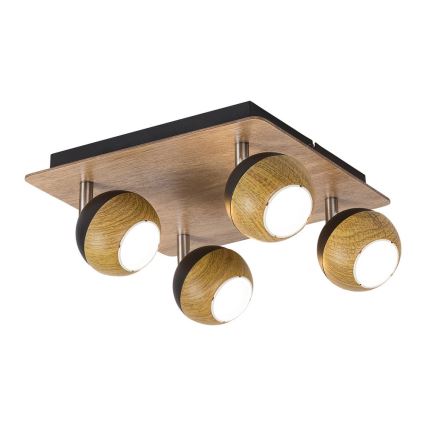 Rabalux - Точковий світильник 4xGU10/35W/230V