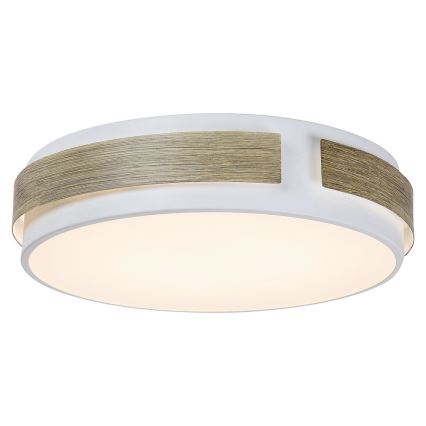 Rabalux - Світлодіодний стельовий світильник з регульованою яскравістю LED/24W/230V