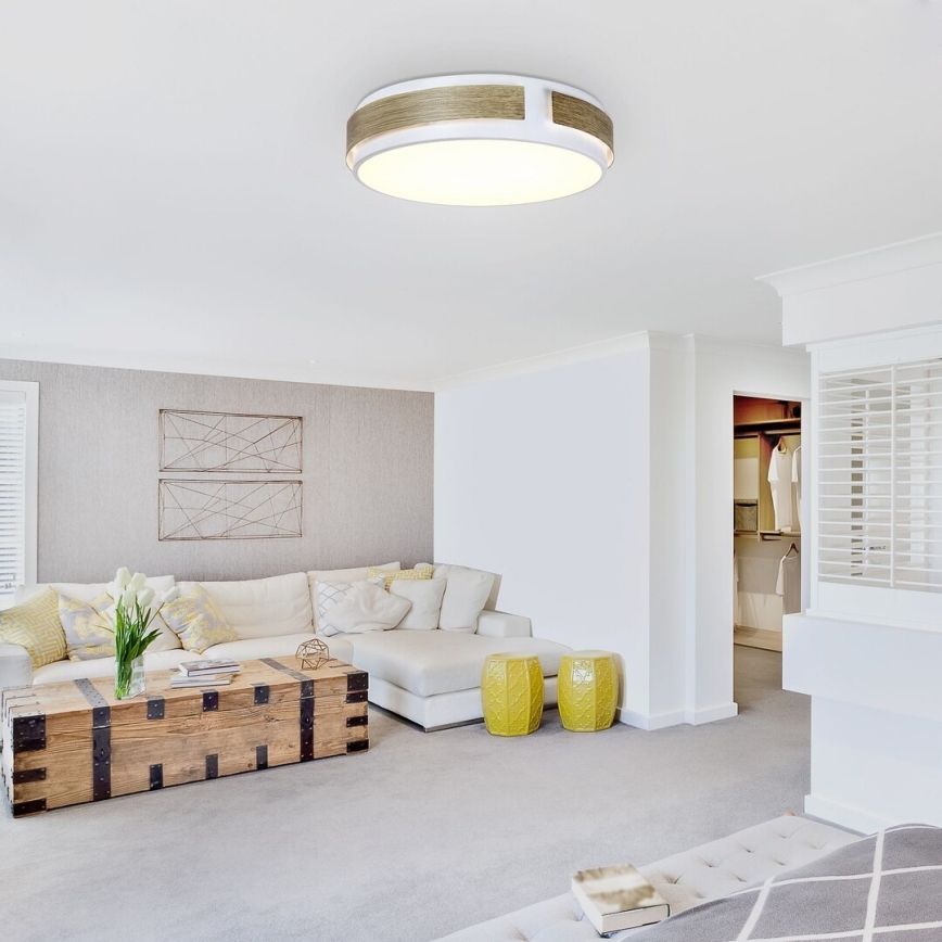Rabalux - регульований LED стельовий світильник LED/24W/230V, діаметром 42 см