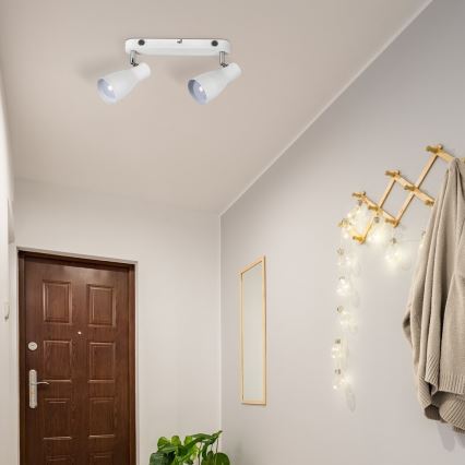 Rabalux - Точковий світильник 2xE27/20W/230V