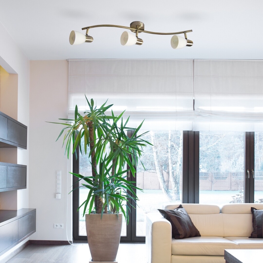 Rabalux - Точковий світильник 3xE14/40W/230V