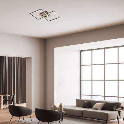 Rabalux - Светодиодный потолочный светильник LED/24W/230V