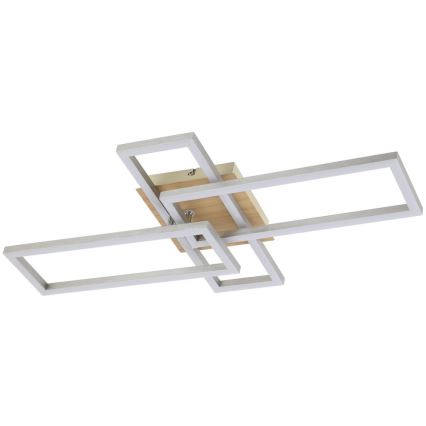 Rabalux - Світлодіодний стельовий світильник LED/24W/230V