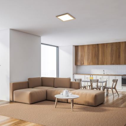 Rabalux - Светодиодная припотолочная панель LED/12W/230V 4000K