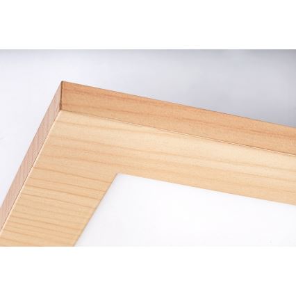 Rabalux - Светодиодная припотолочная панель LED/12W/230V 4000K