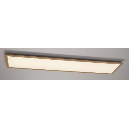 Rabalux - Светодиодная припотолочная панель LED/40W/230V 4000K