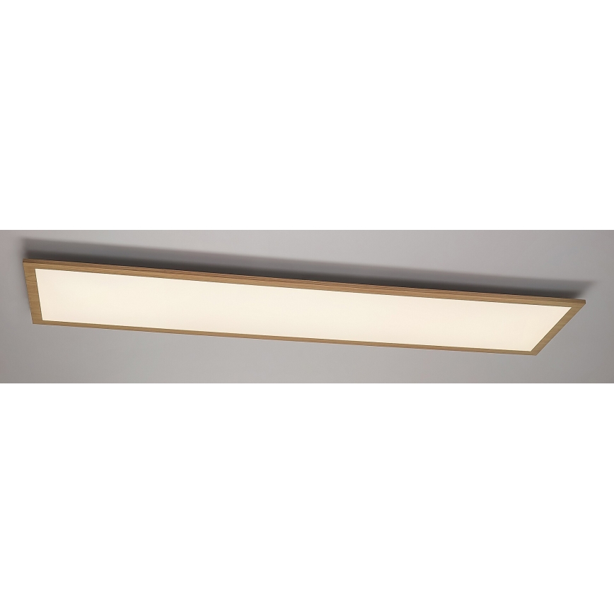 Rabalux - Светодиодная припотолочная панель LED/40W/230V 4000K